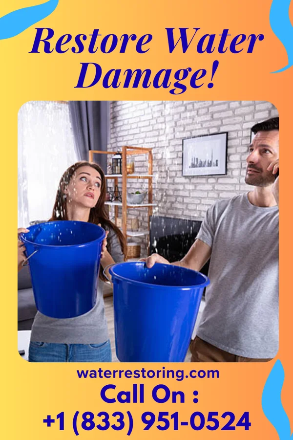water restoration Silver Sewage Cleanup Network Page